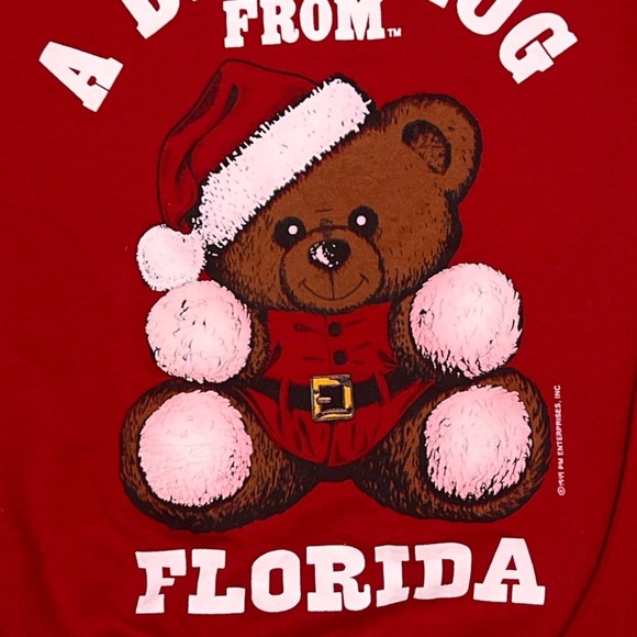 Vintage A Bear Hug From Florida Holiday Ugly Sweater Party Xmas Sweatshirt - Picture 3 of 5